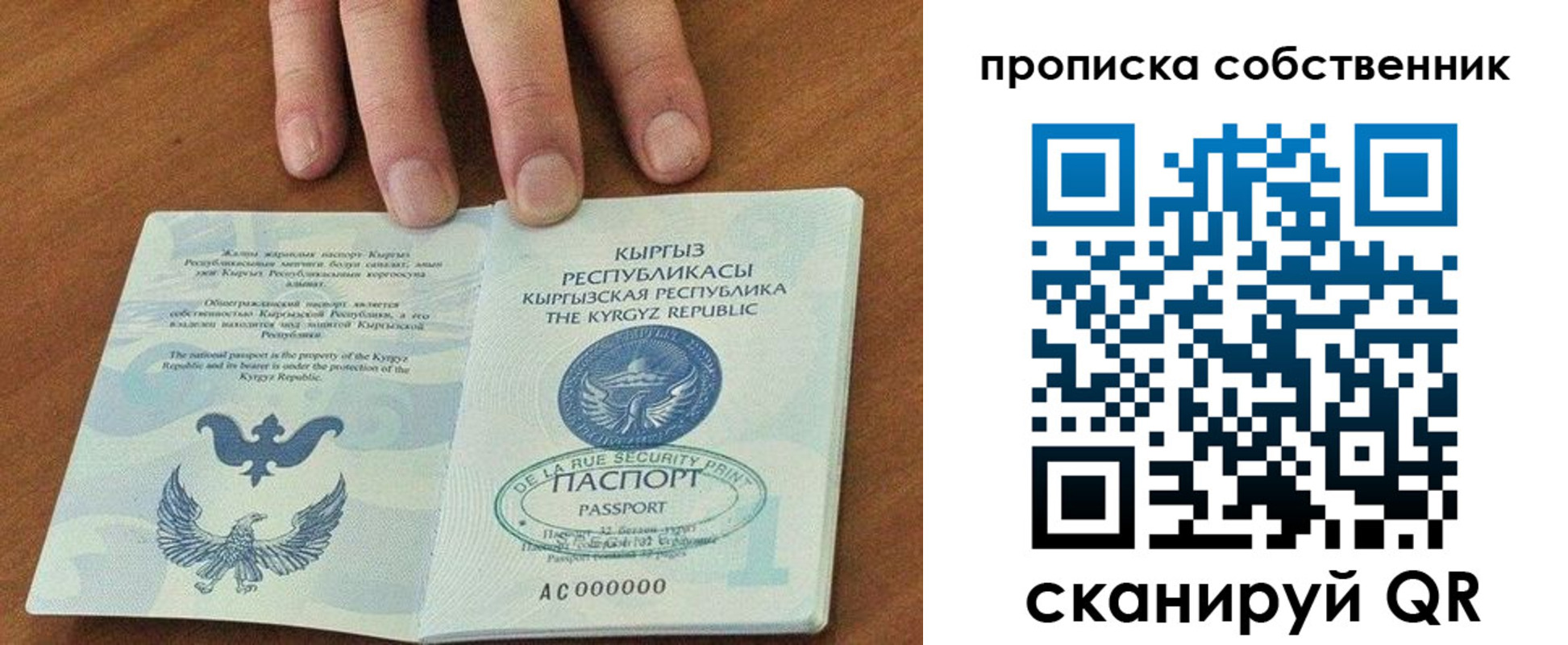 временная регистрация надежно в Полярном